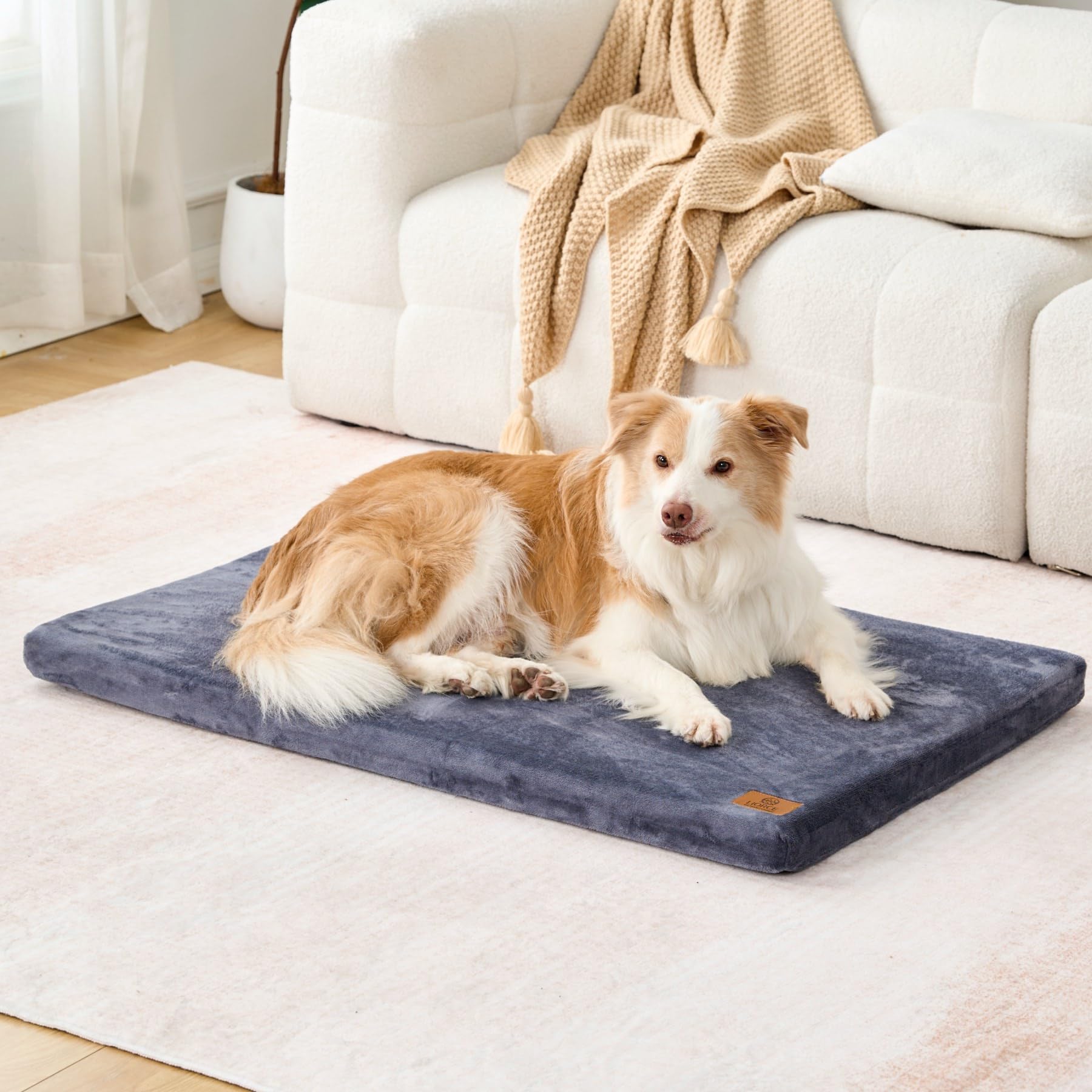 LIORCE dog crate pad dark-grey design blends with crates indoors