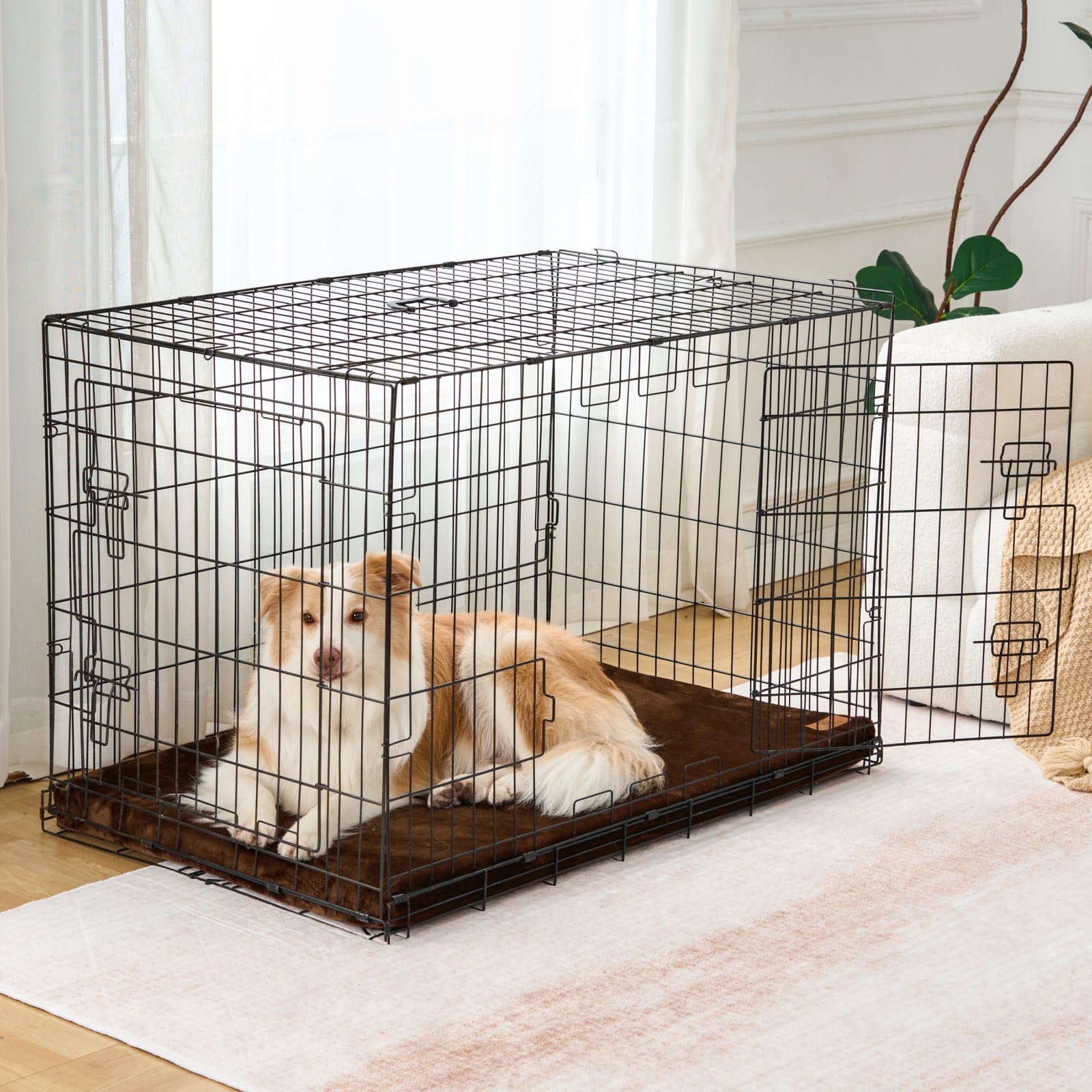 LIORCE crate pad in crate demonstrates secure snug fit