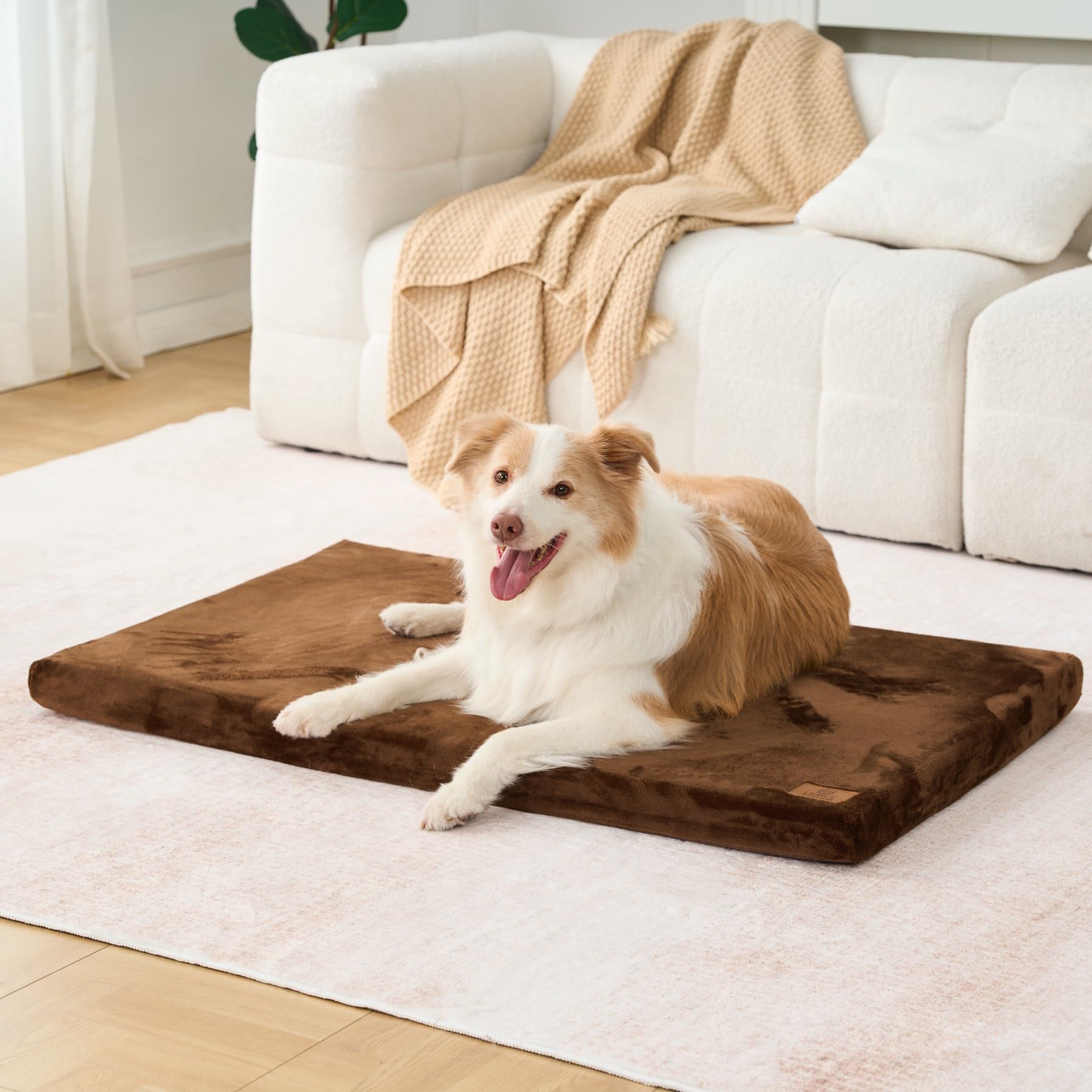LIORCE travel dog bed demonstrates portability