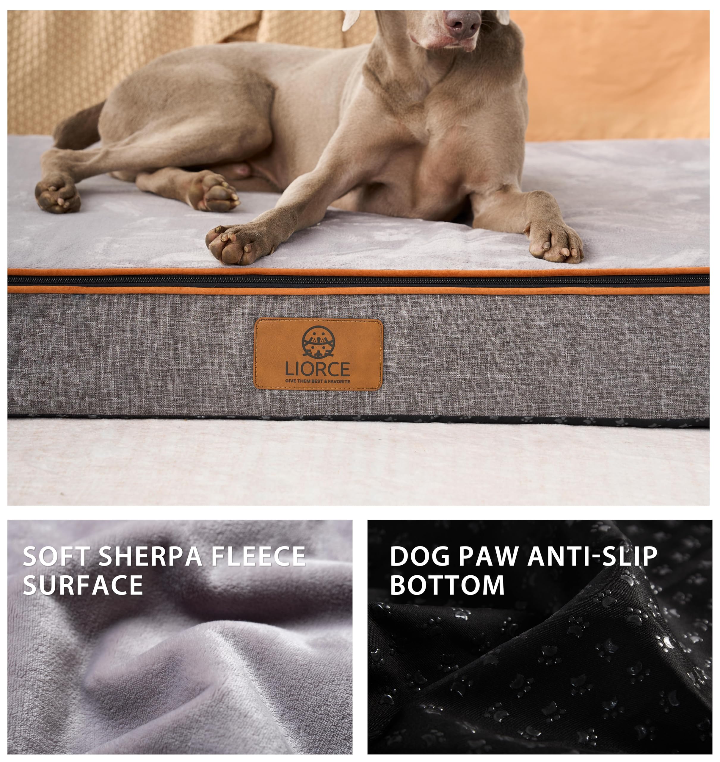 LIORCE giant bed size 53x36x6 inches fits extra-large dogs and crates.