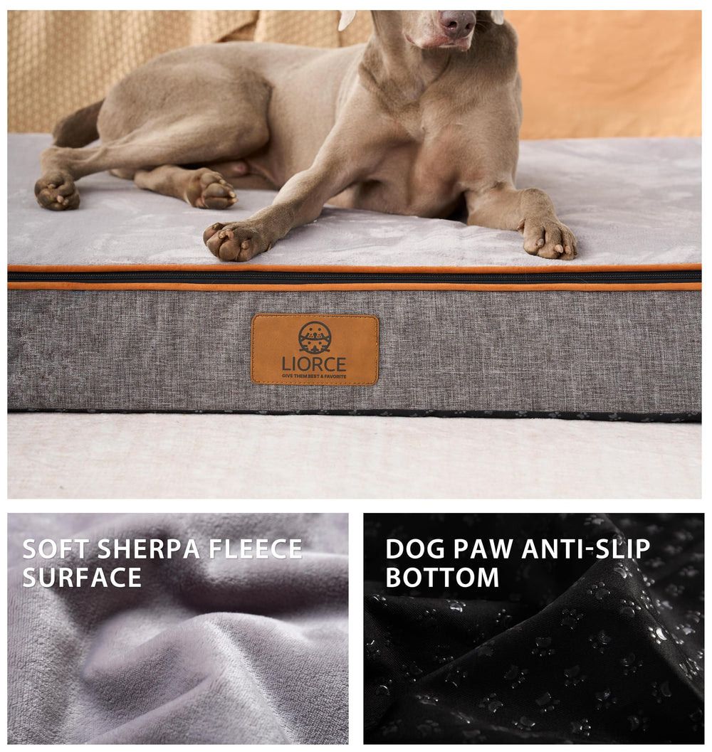 LIORCE giant bed size 53x36x6 inches fits extra-large dogs and crates.