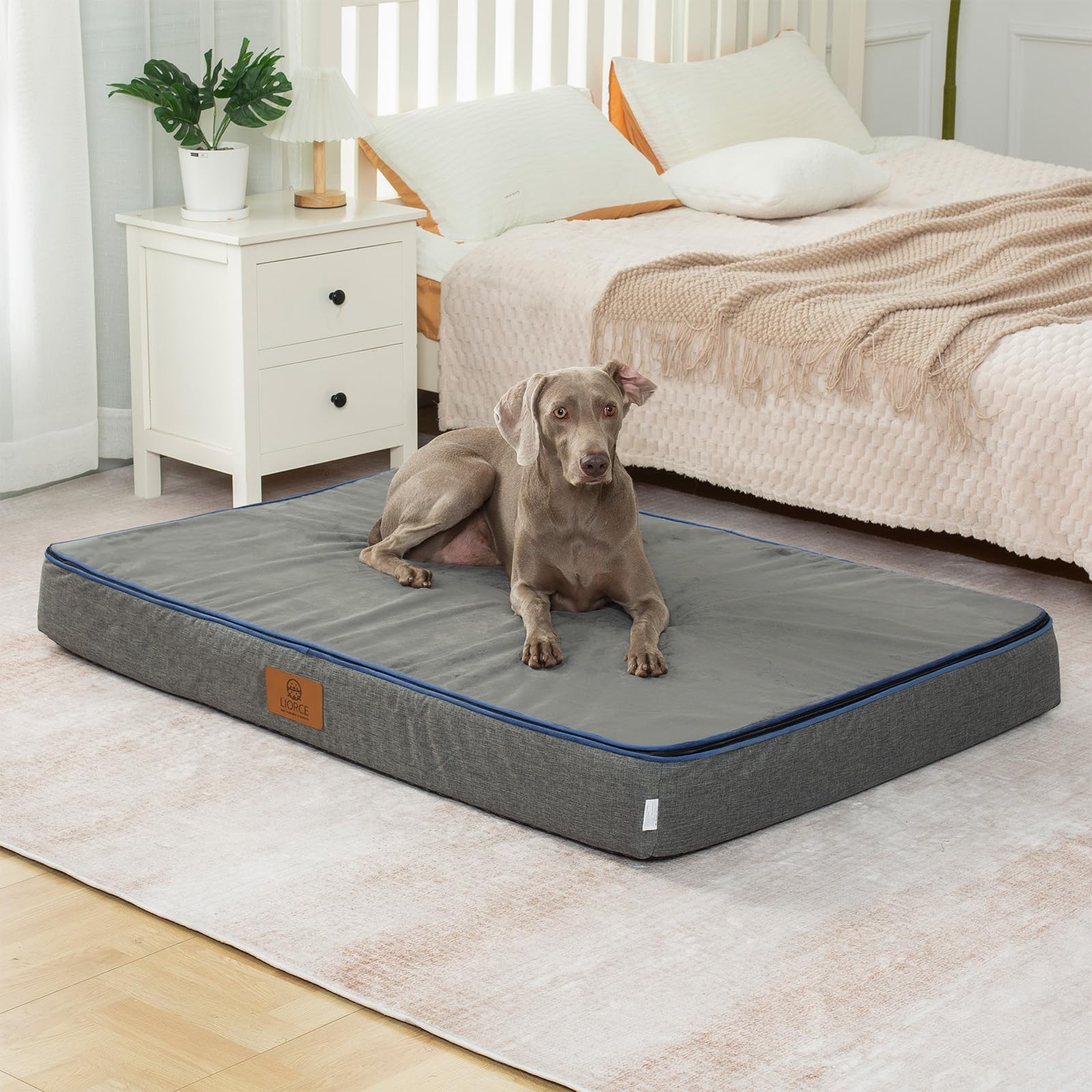 LIORCE 53x36x6-inch dimensions shown for big breeds.