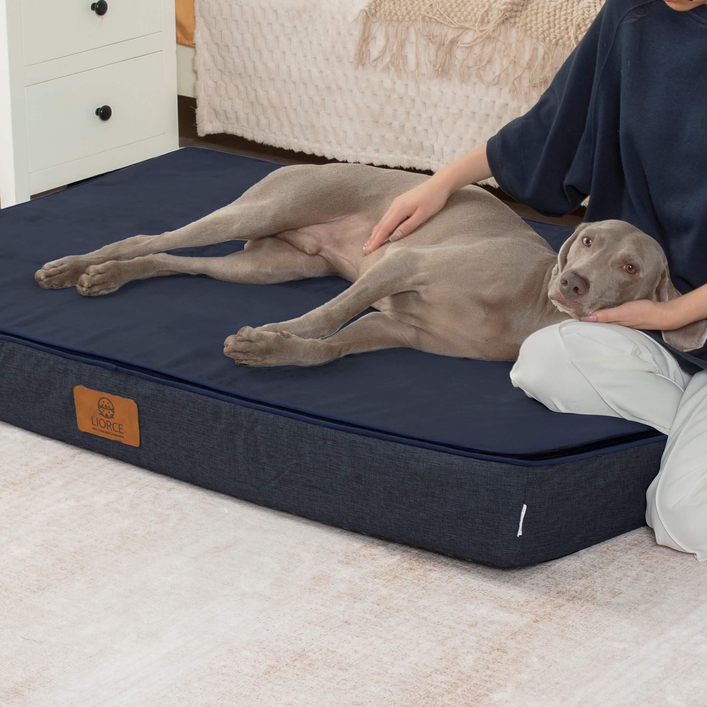 LIORCE giant bed removable cover simplifies washing and maintenance