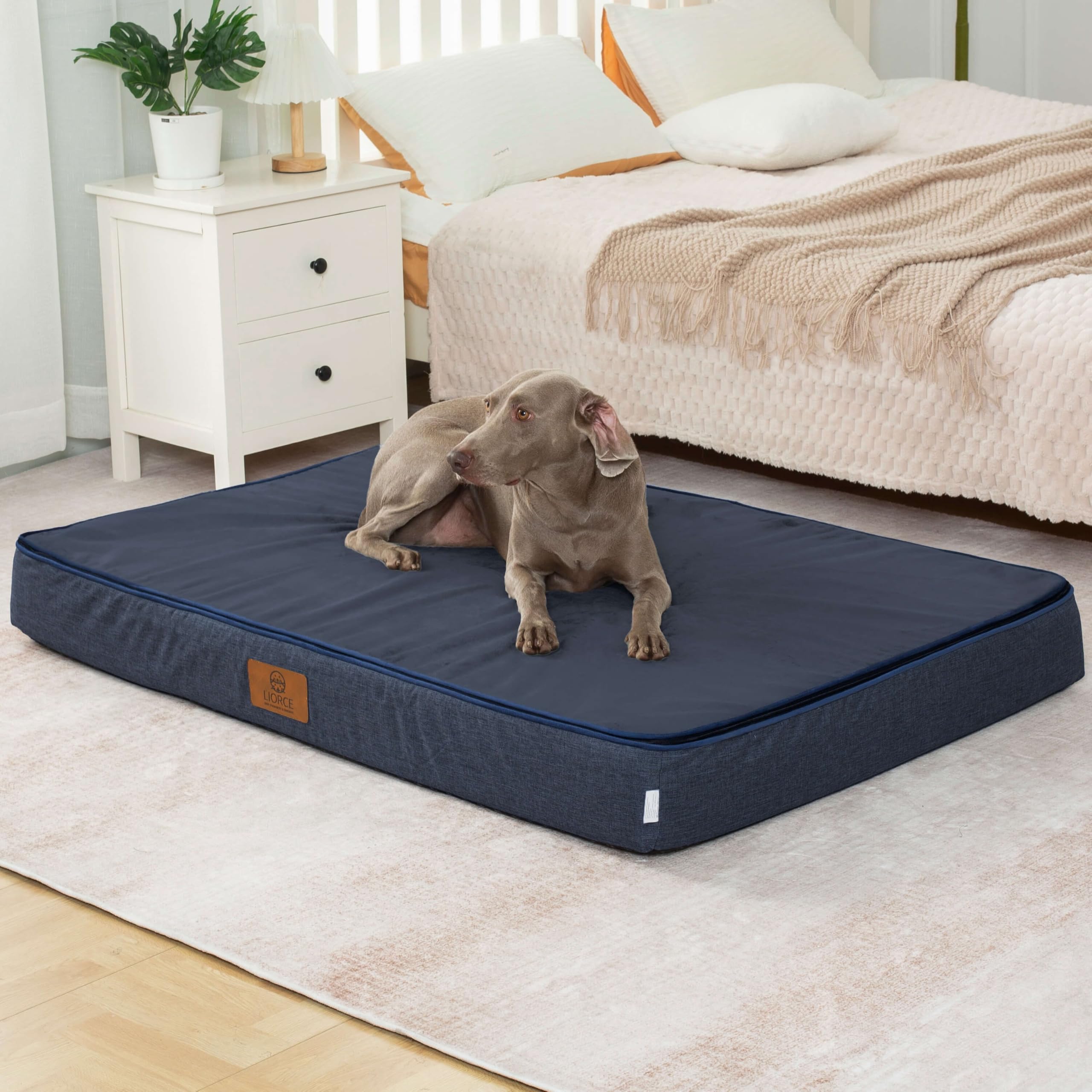 LIORCE giant bed top view shows plush surface and seams