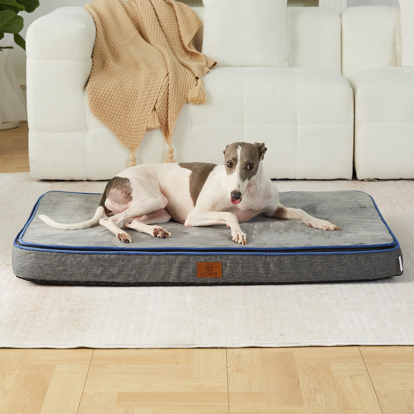 LIORCE memory foam large dog bed in living room or car for comfy lounging.
