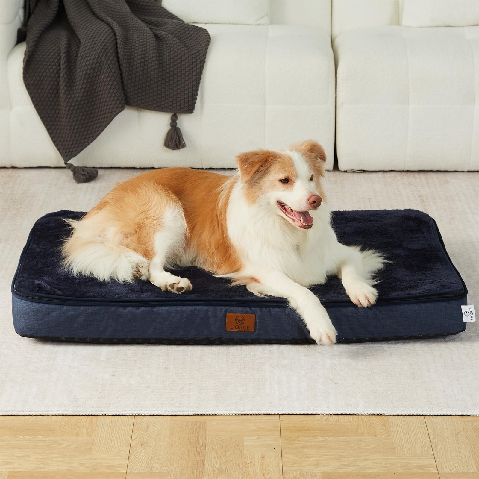 LIORCE Memory Foam XL Dog Bed in living room with spacious 41x27 surface for comfort.