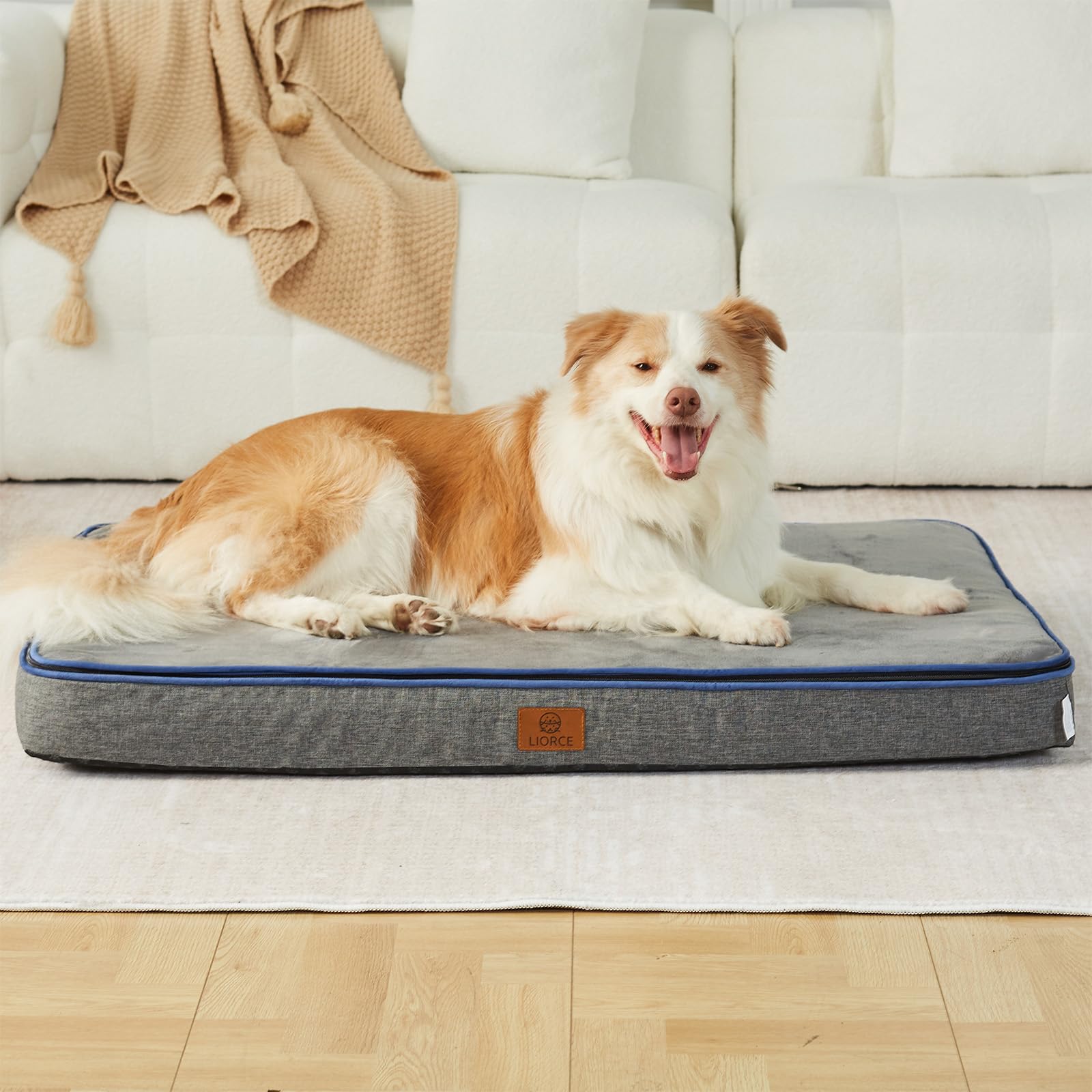 LIORCE Memory Foam XL Dog Bed in car for travel comfort