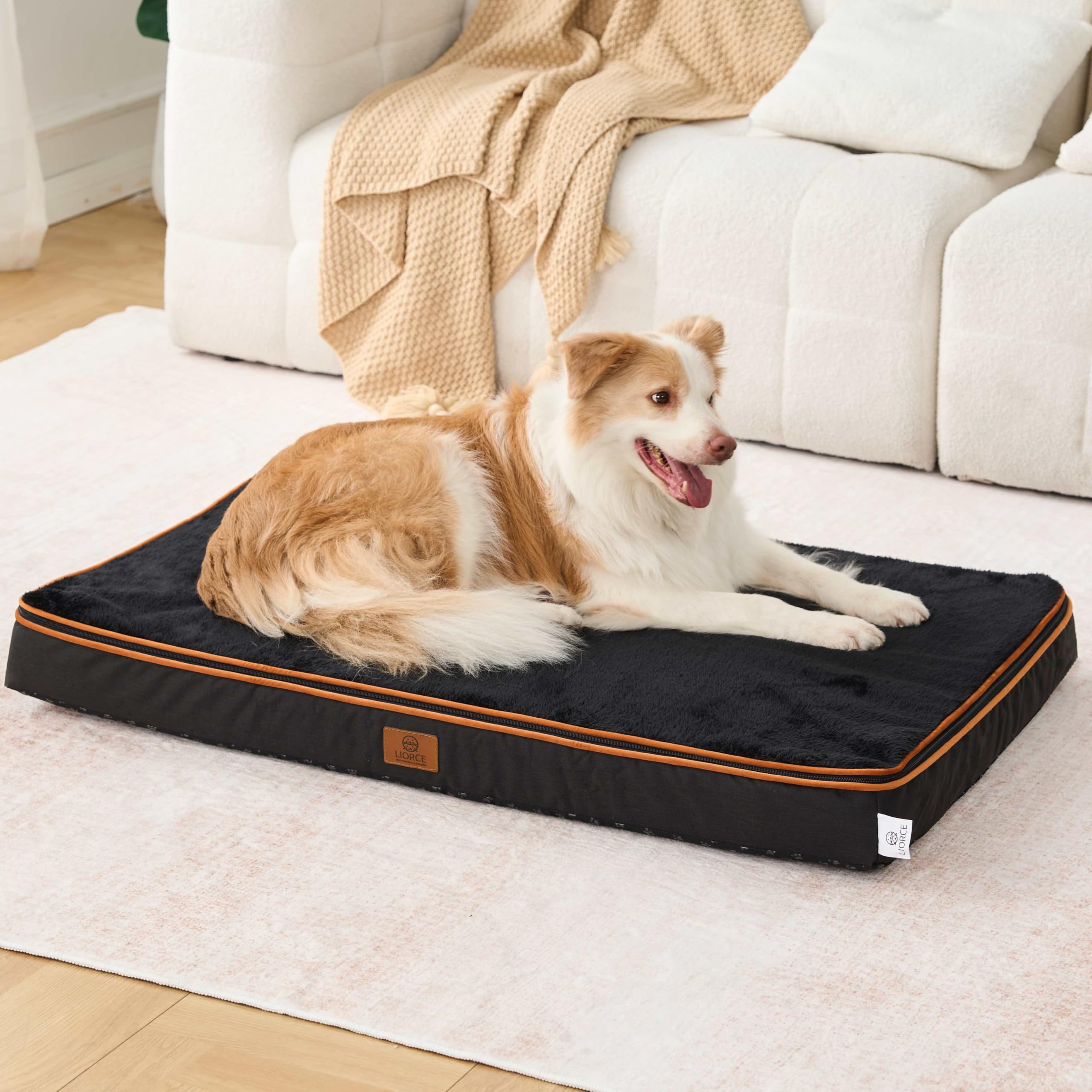 LIORCE memory foam XL dog bed foam close-up showing support layers