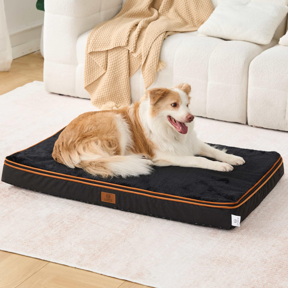 LIORCE memory foam XL dog bed foam close-up showing support layers