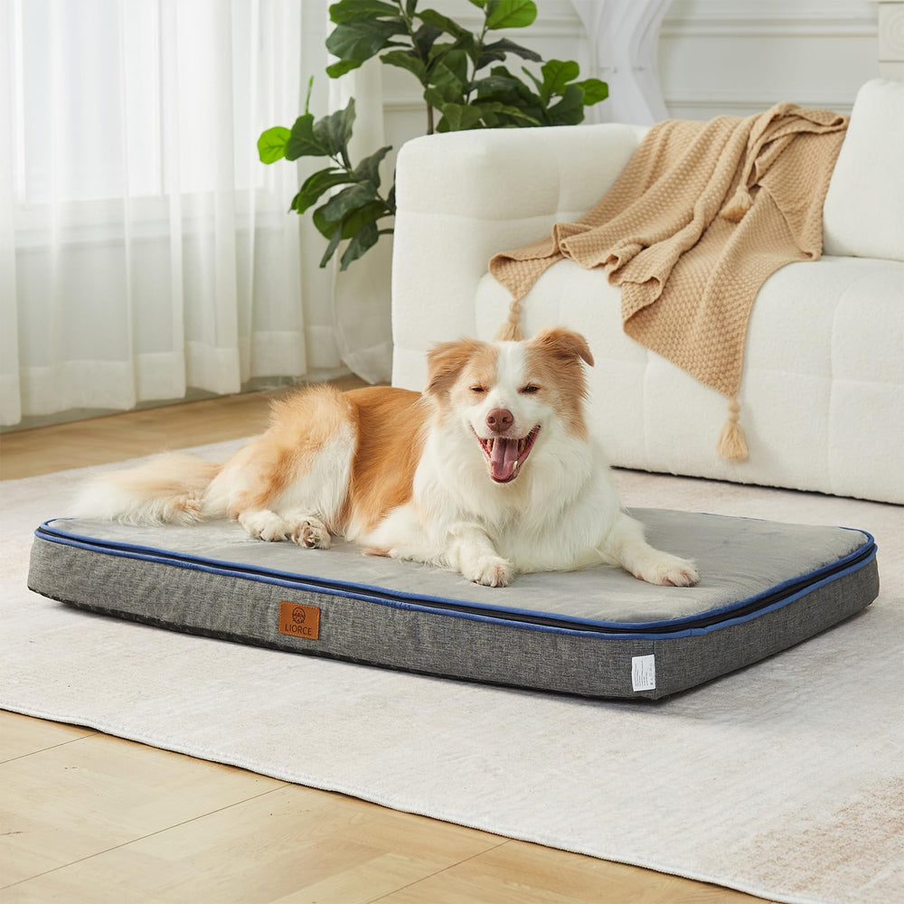 LIORCE Memory Foam XL Dog Bed front view shows plush surface and size for large dogs