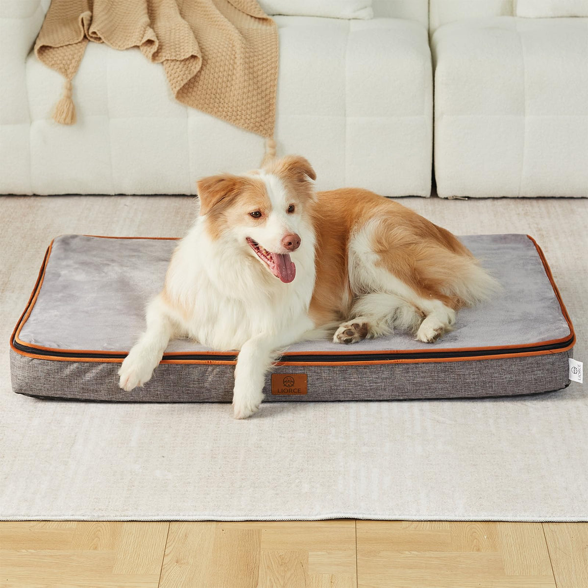 LIORCE Memory Foam XL Dog Bed full view showing ample space for extra-large dogs' comfort
