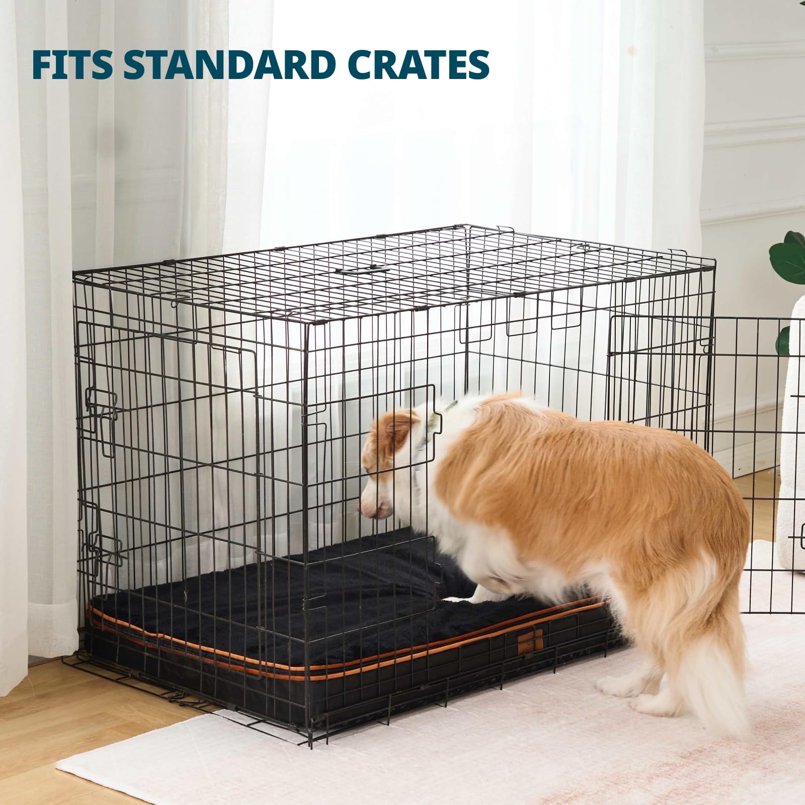 LIORCE memory foam XL dog bed top-cover detaches for cleaning