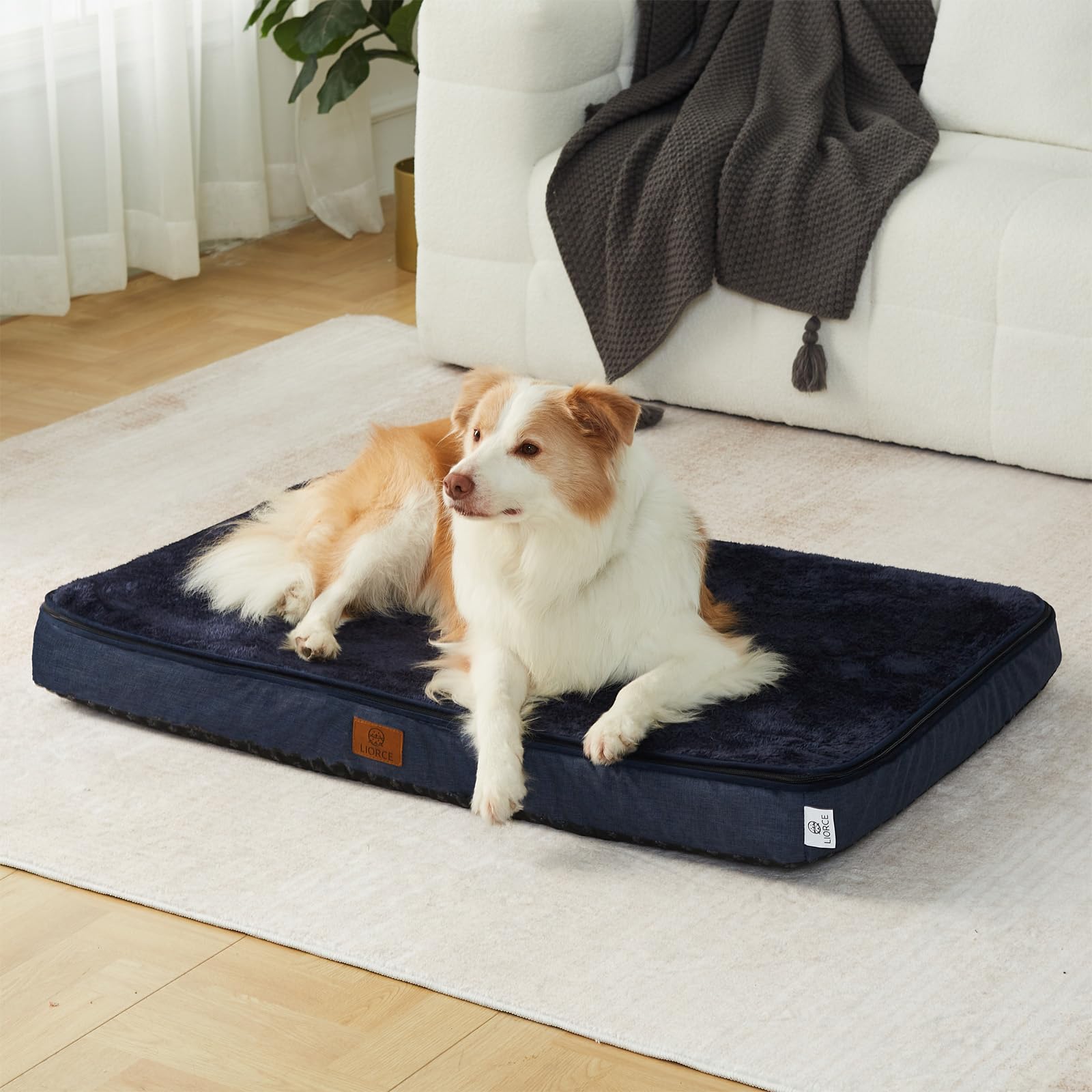 LIORCE dog bed shown in car and living room for versatile comfort.