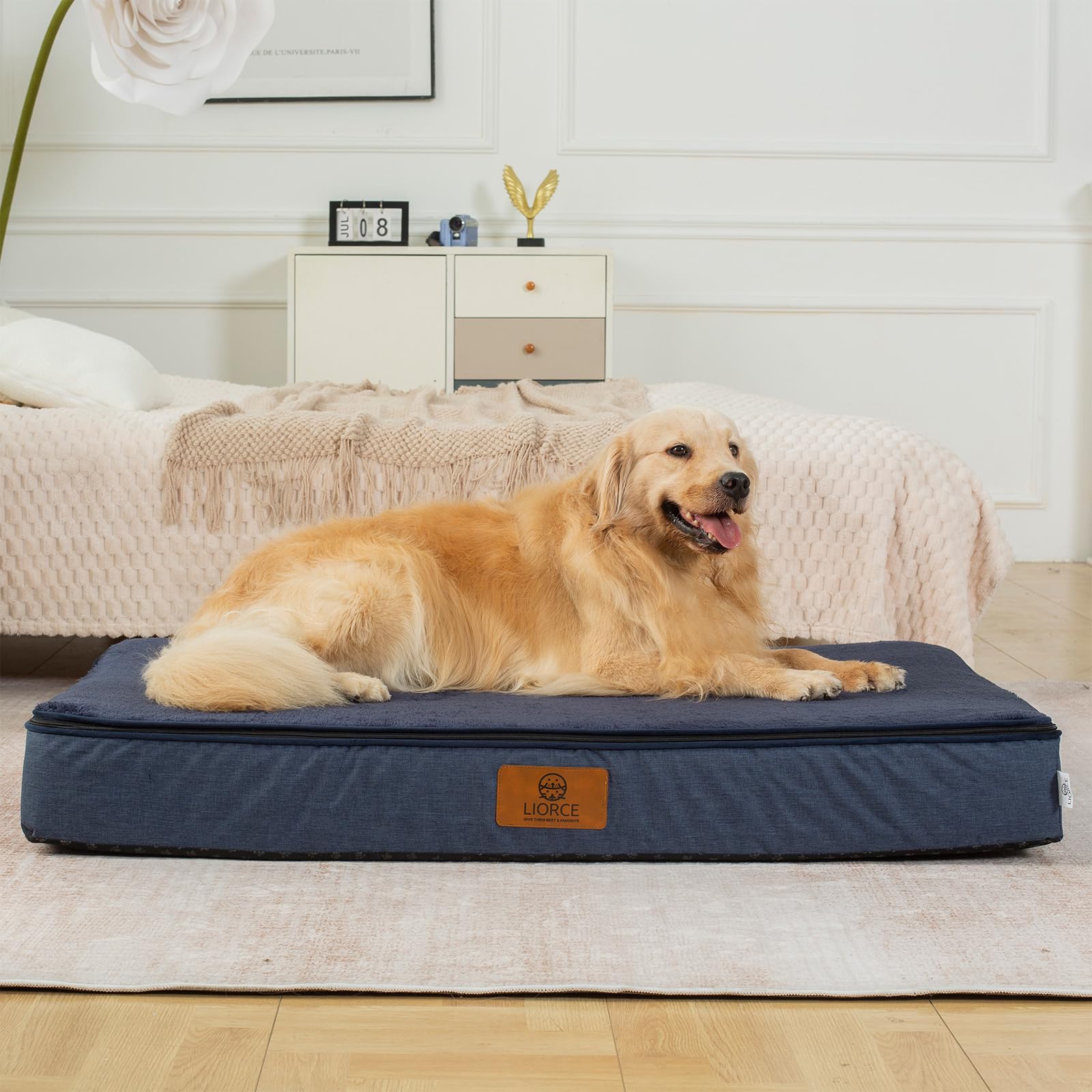 LIORCE bed placed in living room, crate, or car for versatile use
