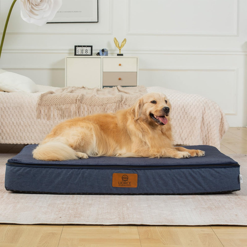 LIORCE bed placed in living room, crate, or car for versatile use