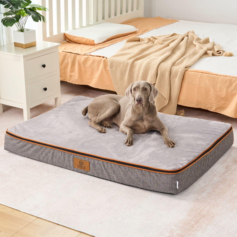 LIORCE orthopedic memory foam bed top cover with plush surface for large dogs.