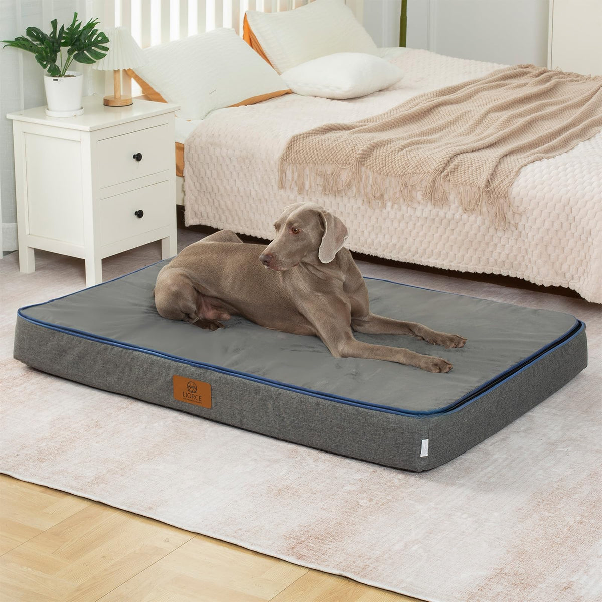 LIORCE orthopedic memory foam bed top view showing edge support.