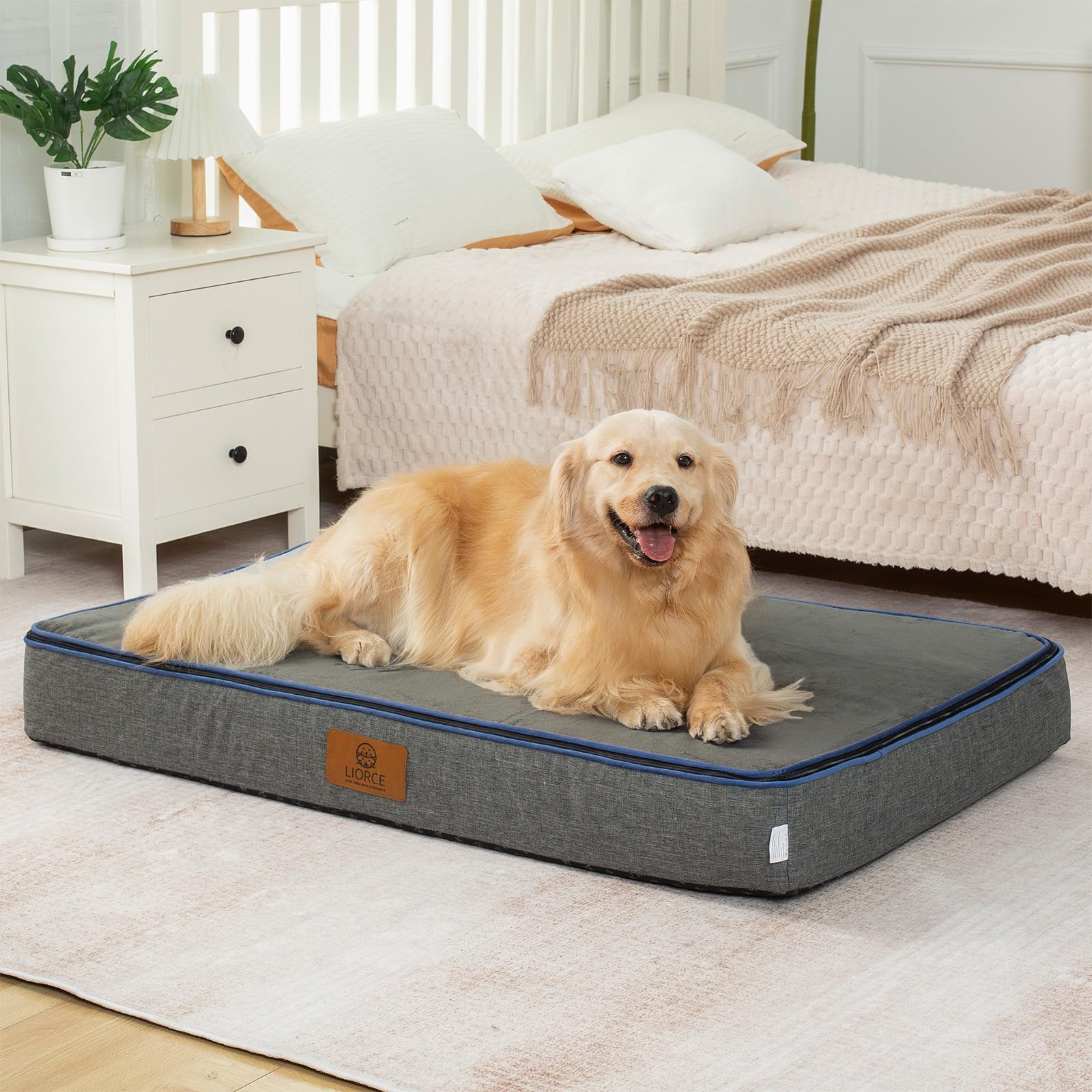 LIORCE orthopedic memory foam XXL dog bed top view showing plush surface