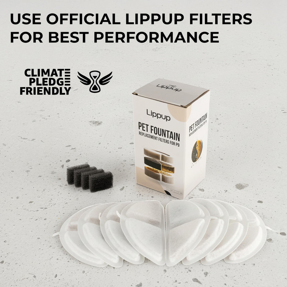 LIPPUP activated carbon filter close-up showing odor removal and chlorine reduction.