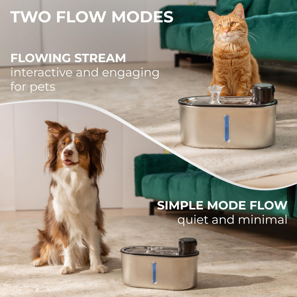 LIPPUP filter in fountain showcases smooth water flow and reliable hydration.