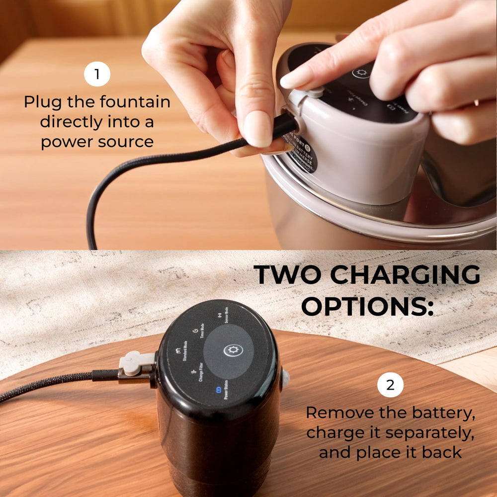 LIPPUP 3.2L capacity minimizes refills in multi-pet homes