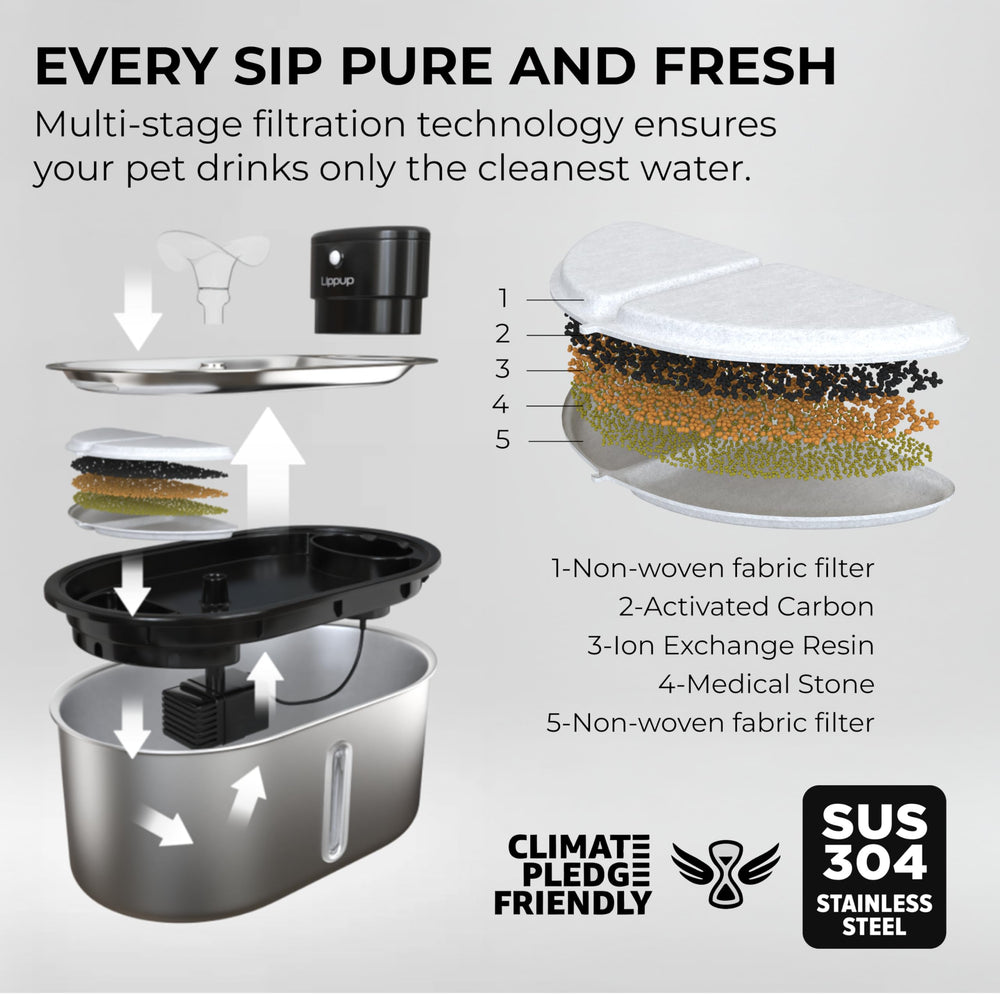LIPPUP stainless steel cat water fountain close-up highlighting durable finish