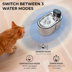 LIPPUP quiet pump in action for undisturbed pet drinking