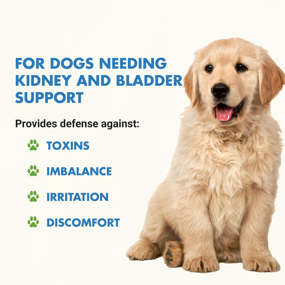 Liquid Vet dropper showing precise dosing for daily kidney and bladder support
