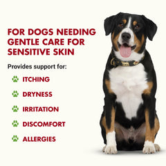LIQUID-VET K9 Itch & Allergy chicken pour demonstrates mess-free dosing.