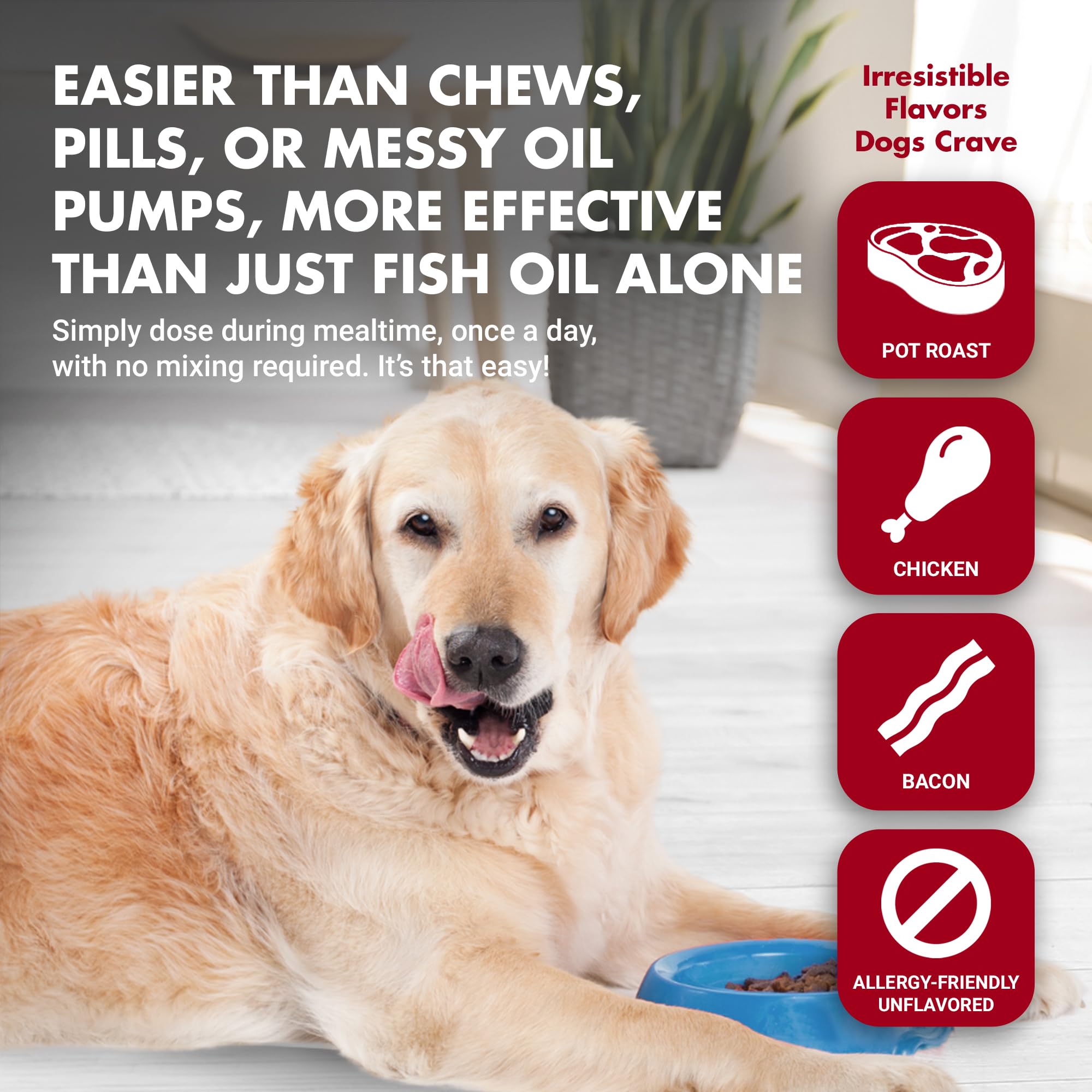 LIQUID-VET K9 Itch & Allergy label communicates ingredients and usage.