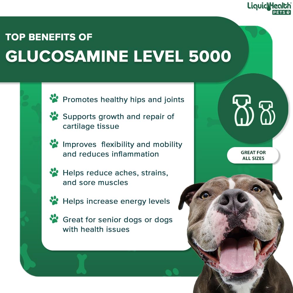 LIQUIDHEALTH K9 glucosamine large-dog serving scoop supports daily activity