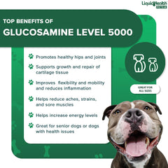LIQUIDHEALTH K9 glucosamine large-dog serving scoop supports daily activity