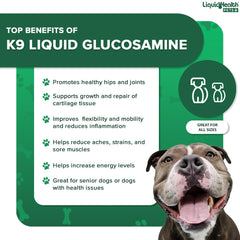 LIQUIDHEALTH K9 joint health bottle promotes comfortable movement in dogs
