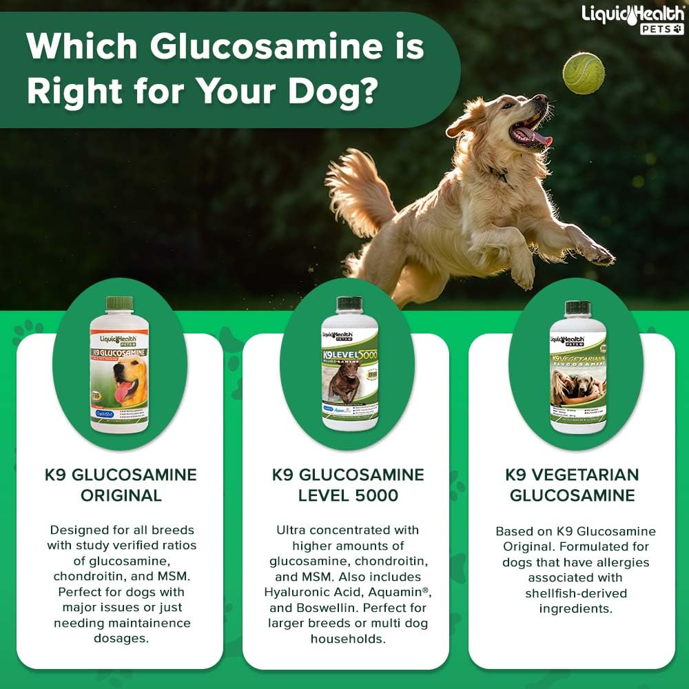USA-made LIQUIDHEALTH K9 bottle signals quality and domestic production