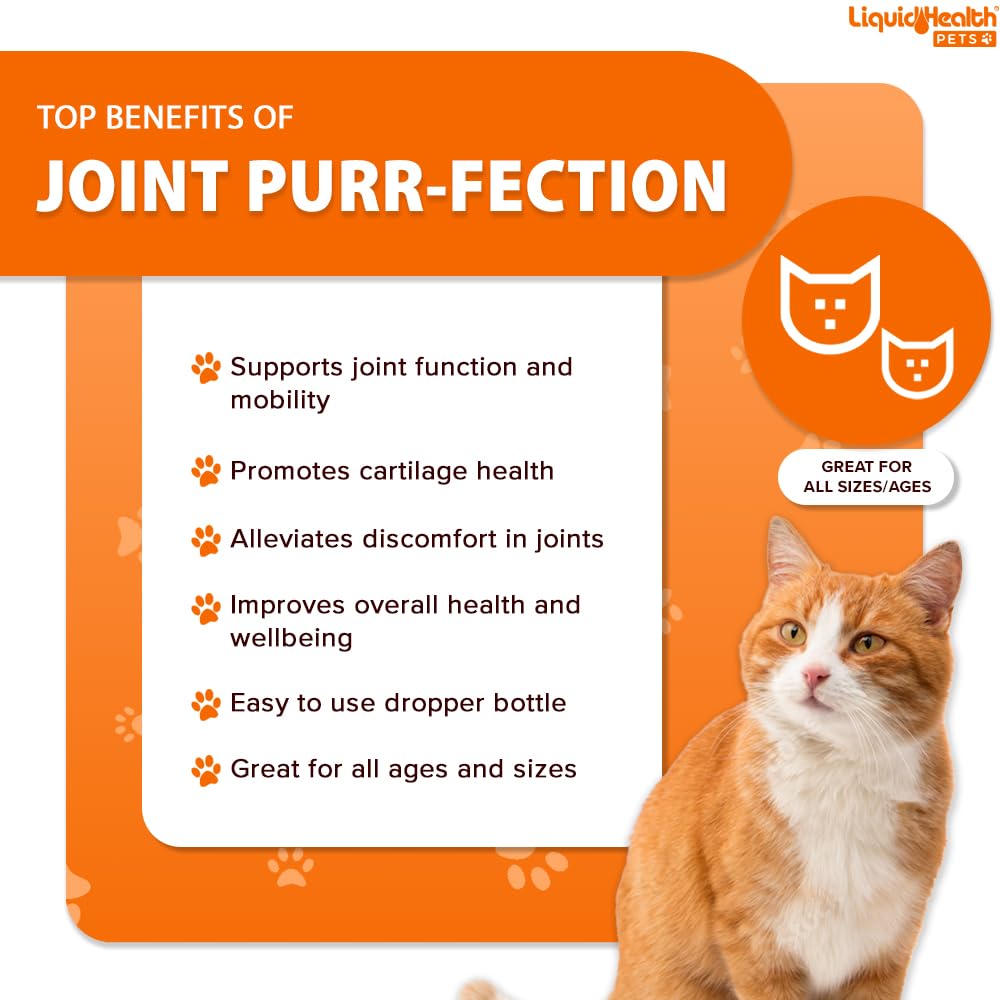 LIQUIDHEALTH glucosamine chondroitin beef gravy flavor for easy dosing in cats.