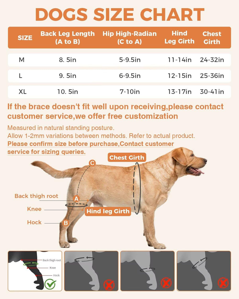 LisPOO dog knee brace front view wearable shows comfortable wrap-around protection.