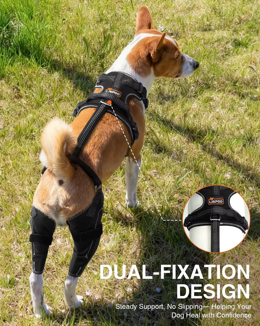 LisPOO dog knee brace hinged design close-up highlights flexible knee support.