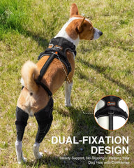 LisPOO dog knee brace hinged design close-up highlights flexible knee support.