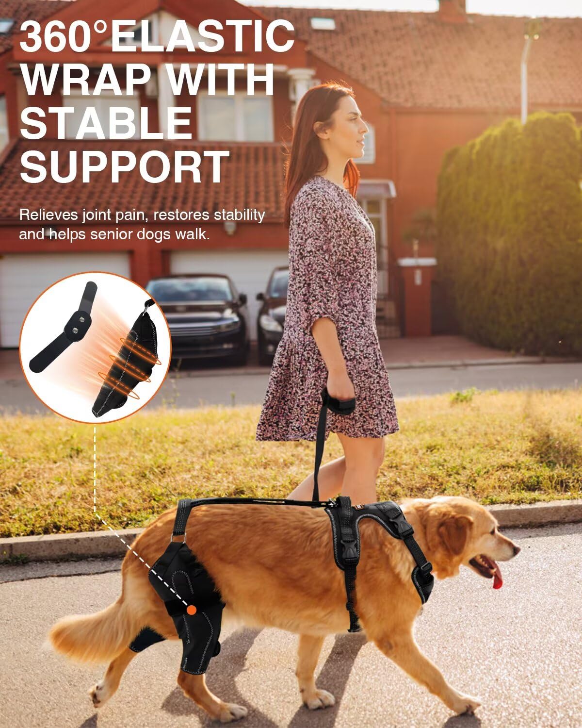 LisPOO dog knee brace on dog hind-leg shows secure wrap reducing movement.