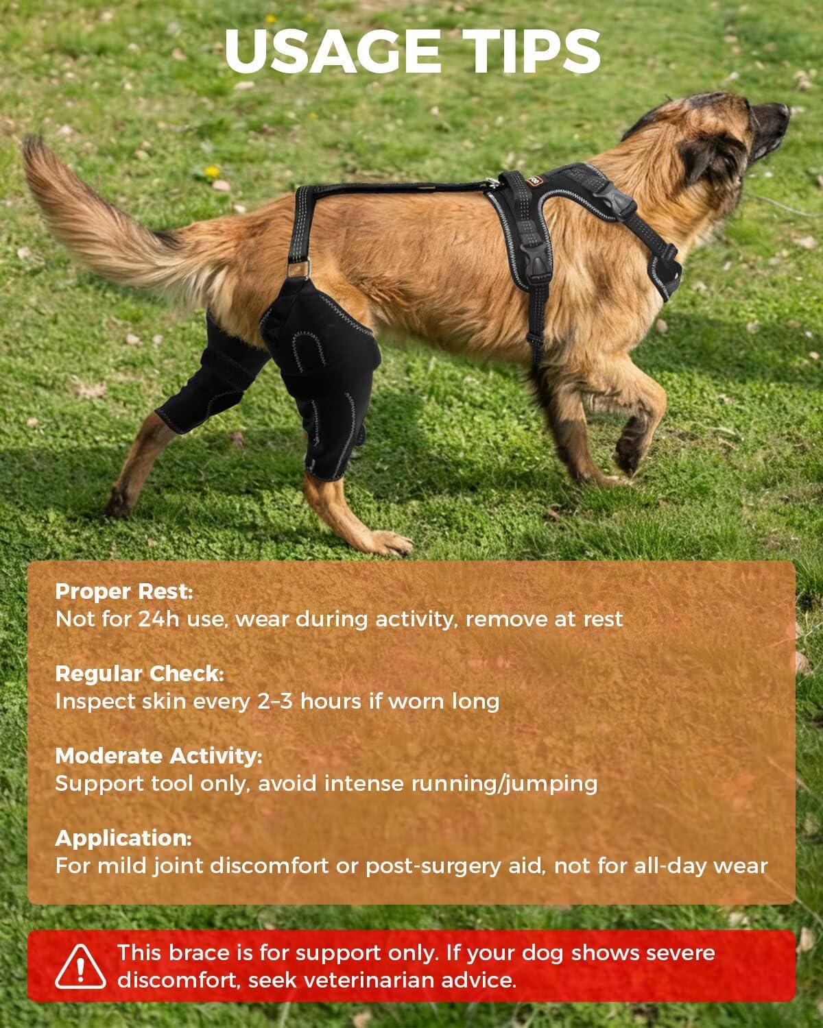 LisPOO dog knee brace withstands weather and wear while maintaining secure compression.