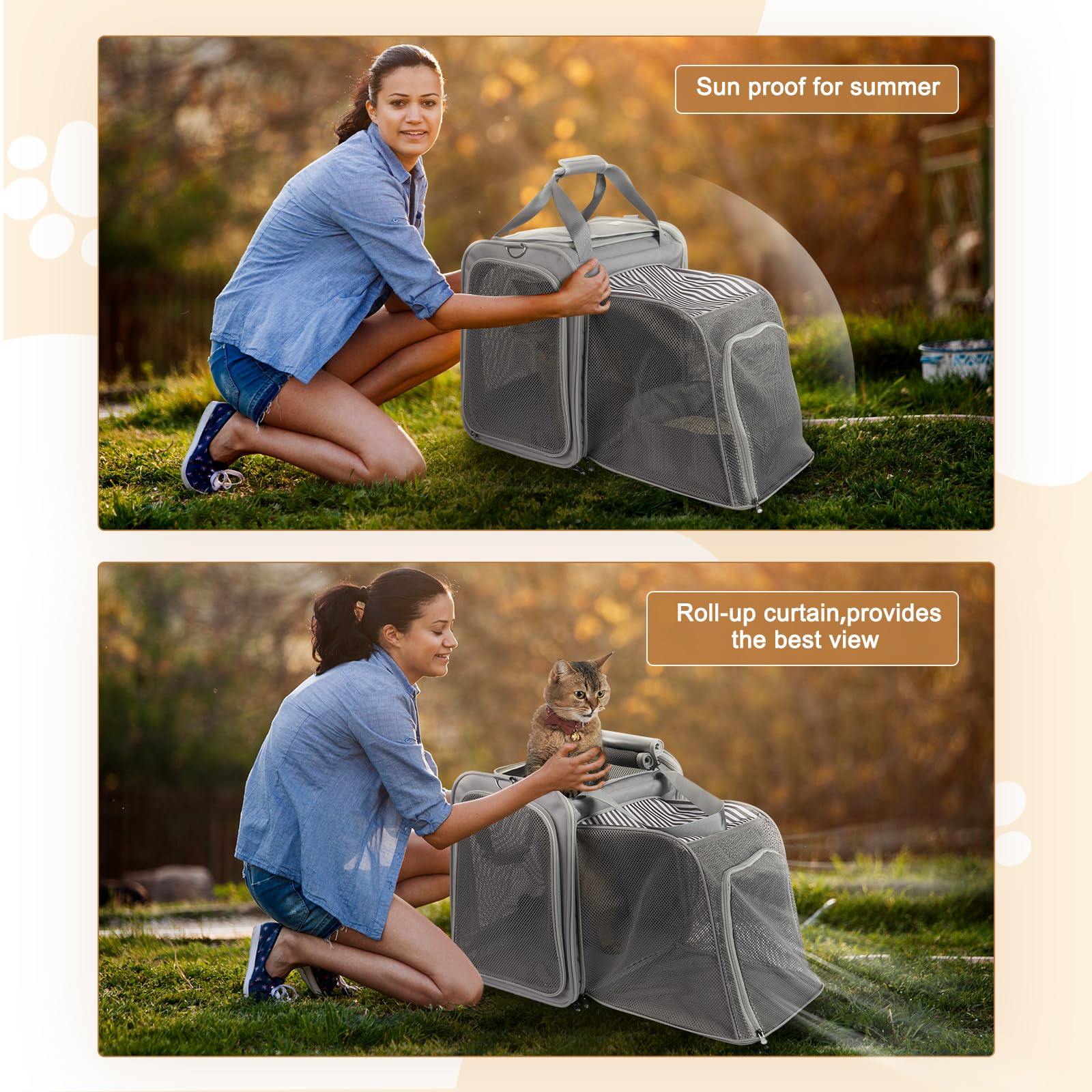 LitaiL cat carrier dimensions 16-5 indicate portable yet roomy design