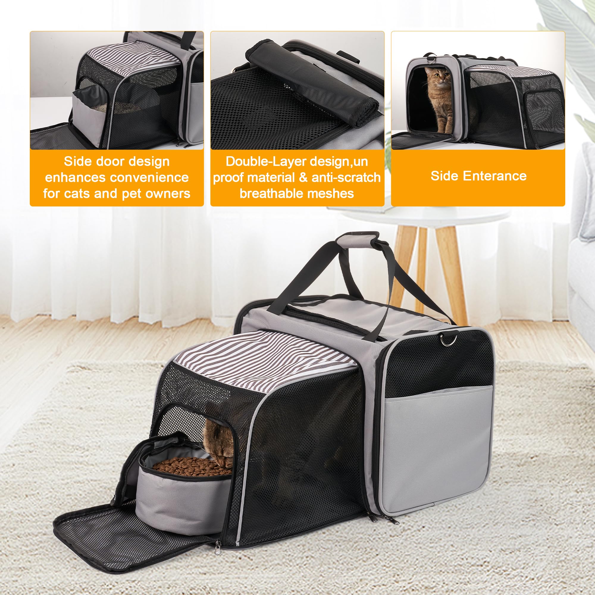 LitaiL cat carrier foldable travel toilet showcases built-in convenience for in-car needs