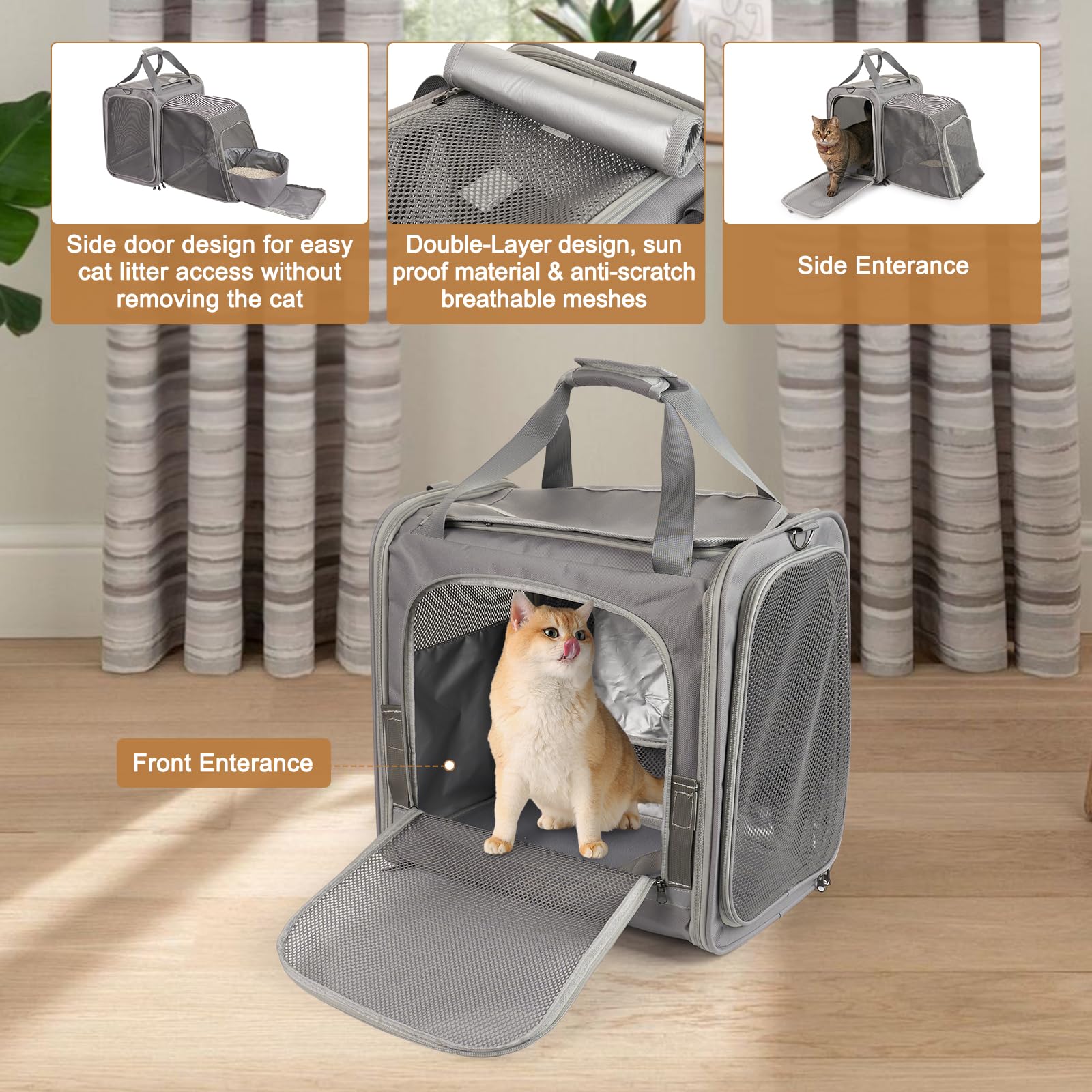 LitaiL cat carrier front view highlights design and safety silhouette