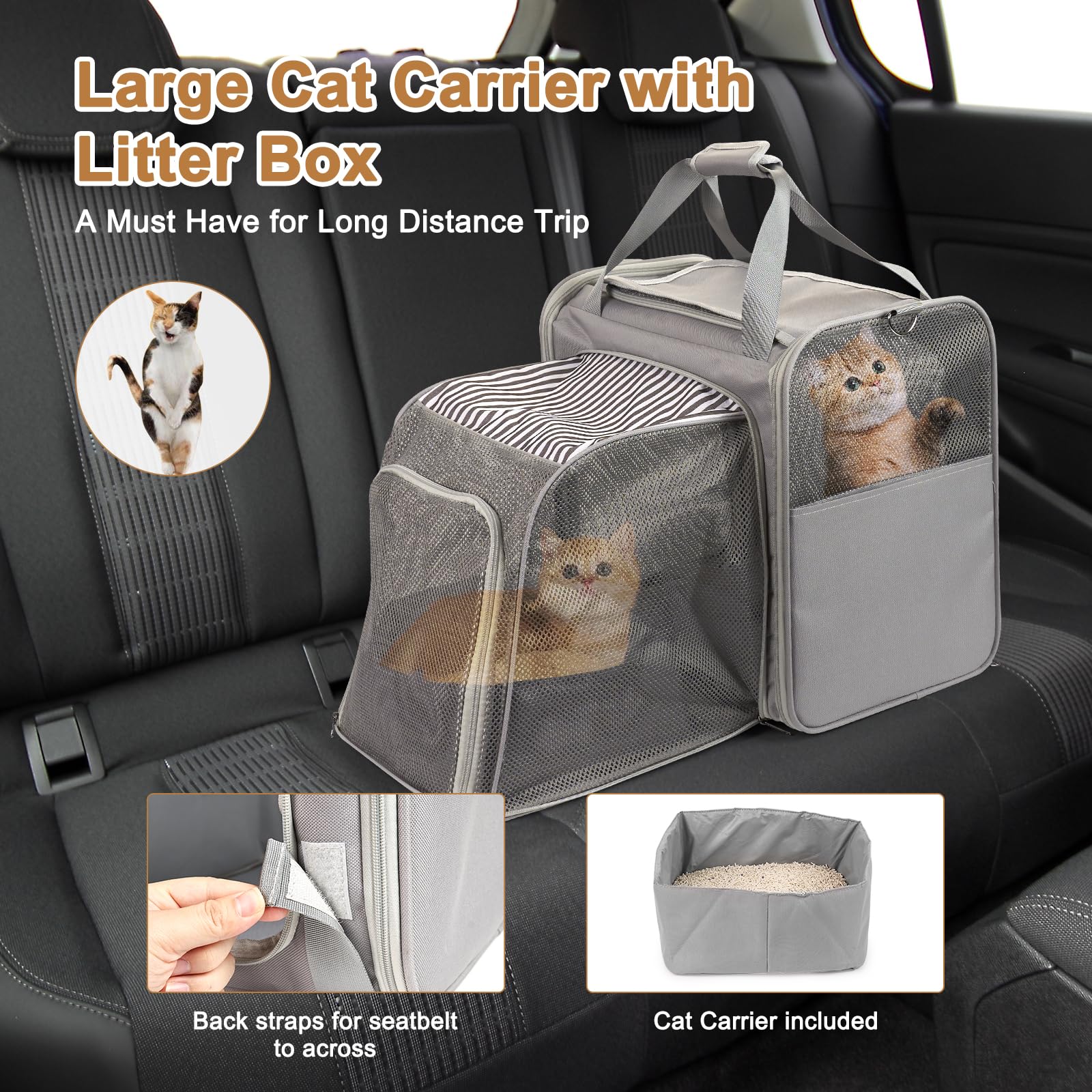 LitaiL cat carrier interior expandable illustrates adjustable space for a cat