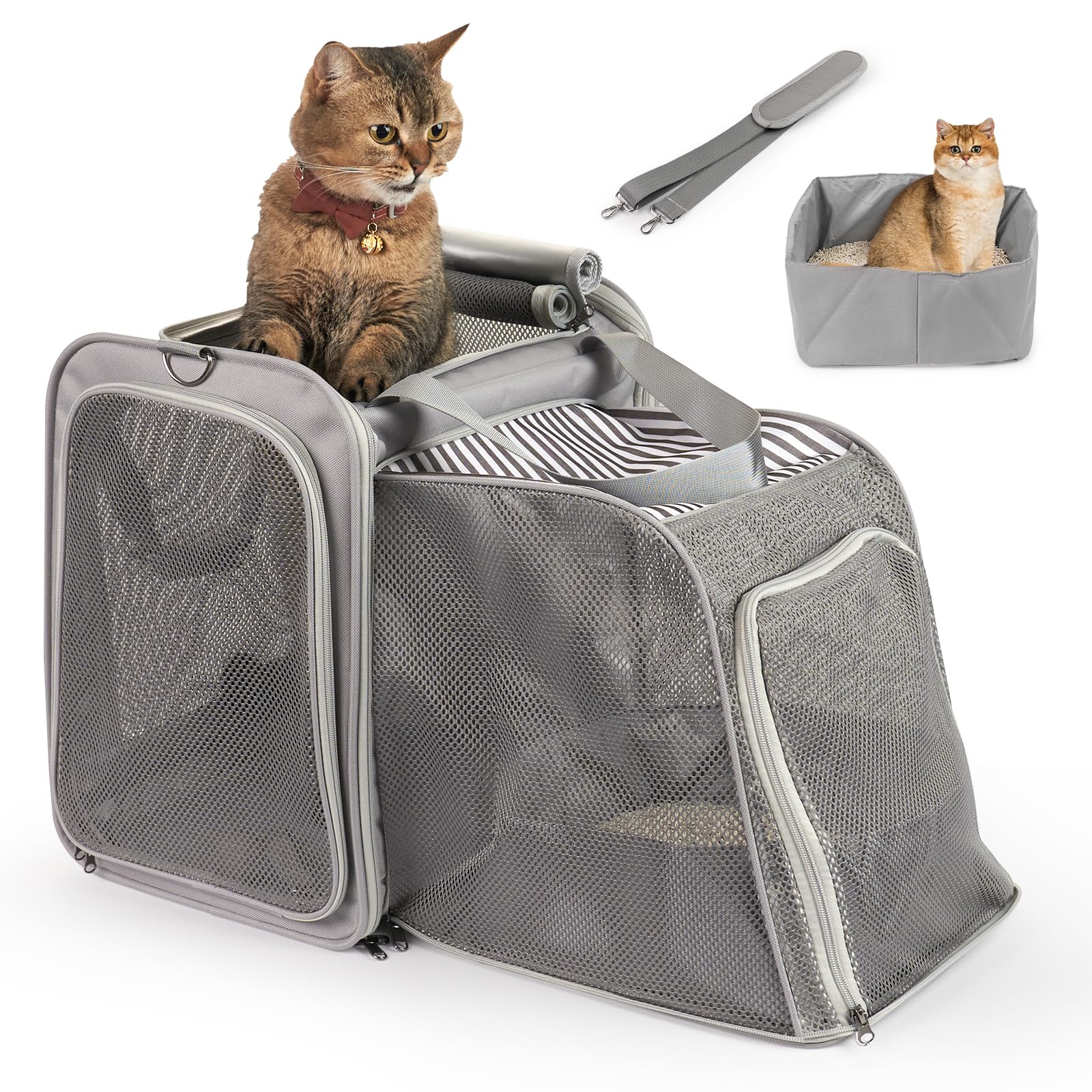 LitaiL cat carrier litter box open shows spacious lounge area for travel