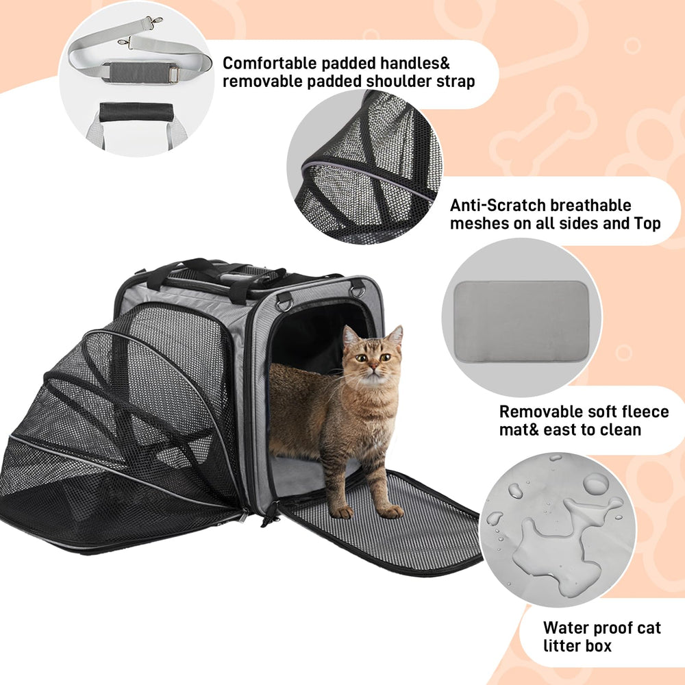 LitaiL cat carrier ideal for road trips and camping with pets.