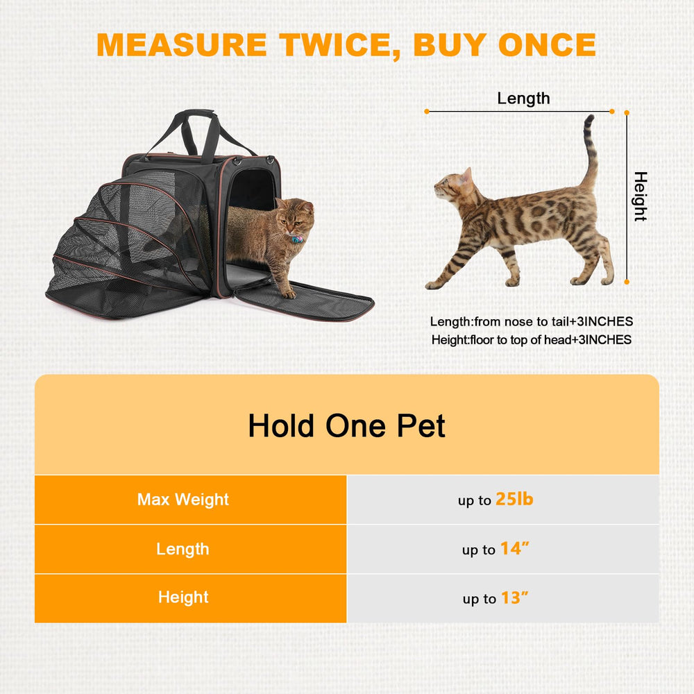 LitaiL expandable interior offers comfortable space for cats on journeys.