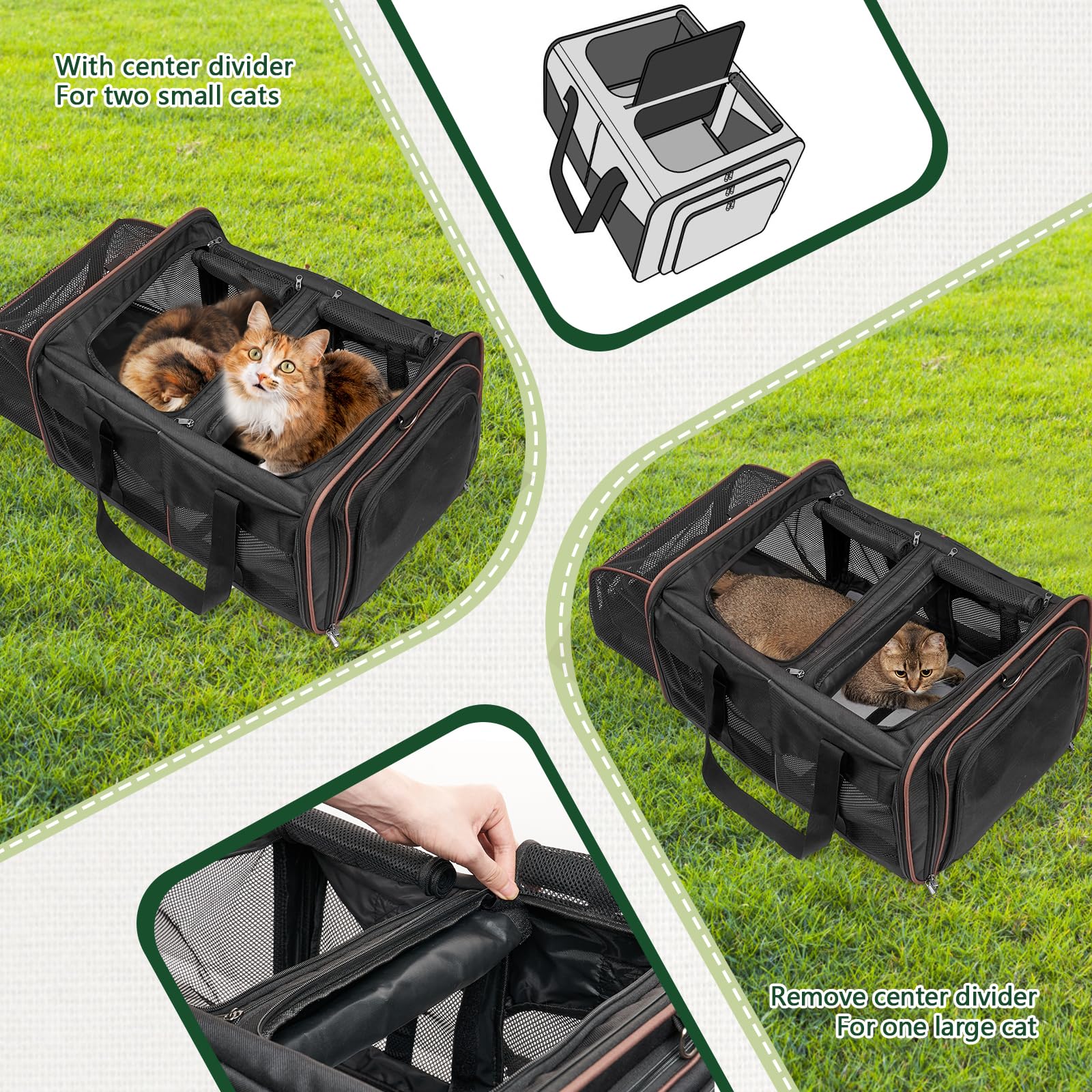LitaiL cat travel carrier expandable width demonstrates spacious interior.
