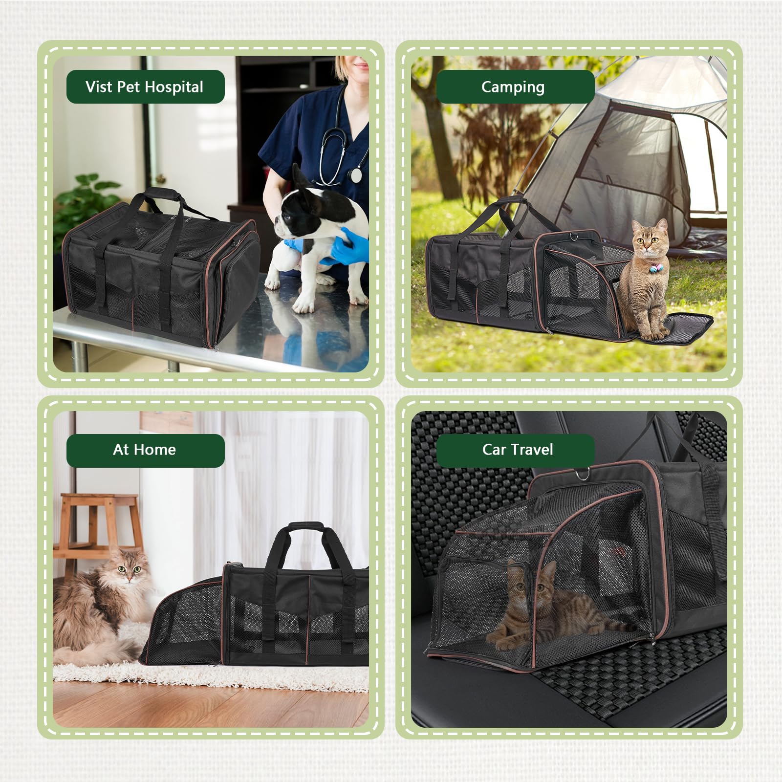 LitaiL cat travel carrier in use shows a cozy two-cat setup.