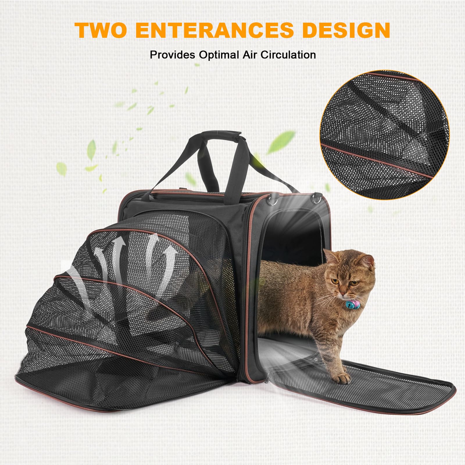 LitaiL leak-proof litter box keeps the car clean on adventures.